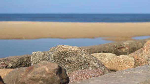 海の近くの石のビデオ — ストック動画