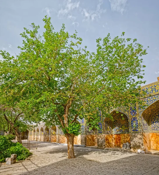 Mosquée Shah Soleimanieh arbre scolaire — Photo