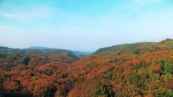 Luchtfoto van een bos in de herfst — Stockvideo