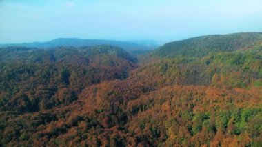 Sonbaharda bir orman ağaç seviyesinde, atışa havadan görünümü
