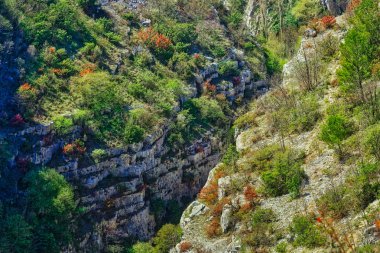 Nehir neredeyse Kanyon