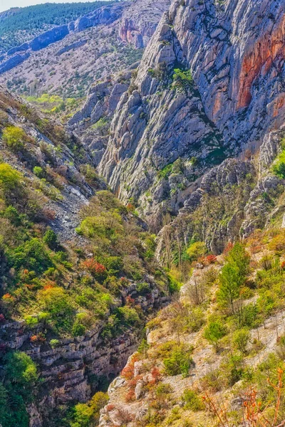 River Cikola canyon — Stock Photo, Image