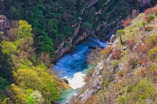 River Cikola canyon — Stock Photo, Image