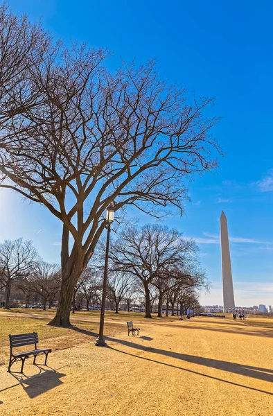 Obelisco Monumento a Washington Estados Unidos de América —  Fotos de Stock