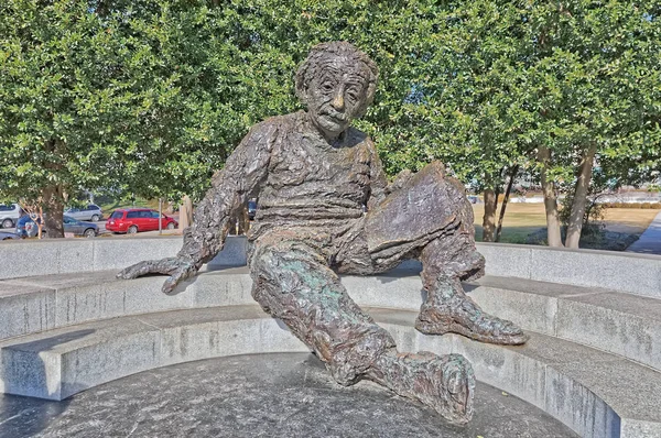 Albert einstein denkmal in washington dc usa — Stockfoto