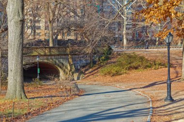 New York Central Park Greyshot Arch köprü kış saati