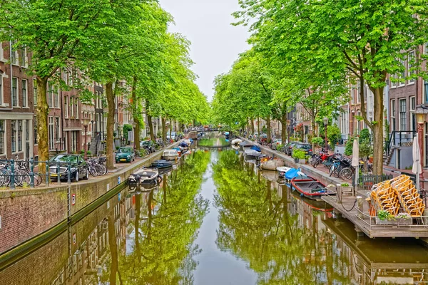 Amsterdam árboles verdes reflejo en el canal del río — Foto de Stock