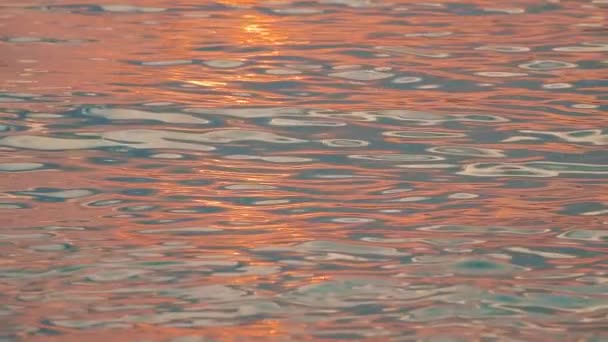 Sunset at Dubrovnik beach — Stock Video