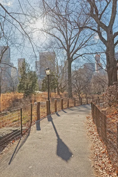 Нью-Йорк Центральный парк пустая дорога в зимнее время — стоковое фото