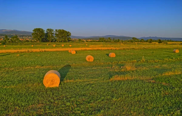 Aerial view of the hay bales in the countryside, Croatia — Stock Photo, Image