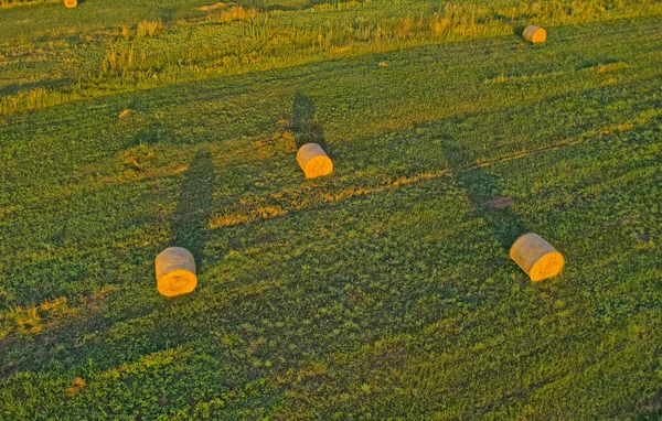 Aerial view of the hay bales in the countryside, Croatia — Stock Photo, Image