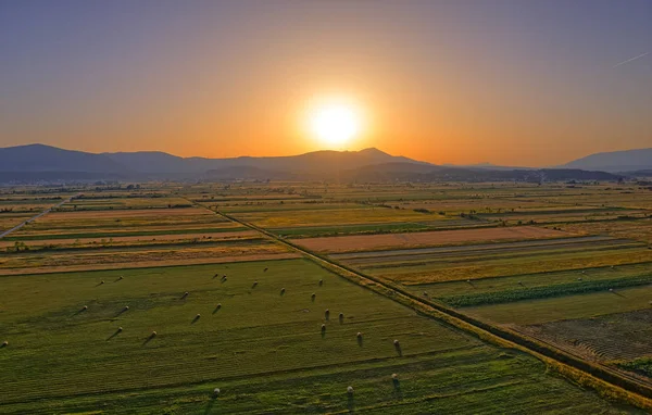 Hırvatistan 'ın kırsal kesiminde Sinj yakınlarındaki saman balyalarının hava manzarası — Stok fotoğraf