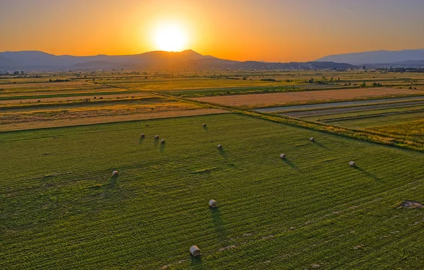 Aerial view of the fields near Sinj with hay bales in the countryside, Croatia — Stock Photo, Image