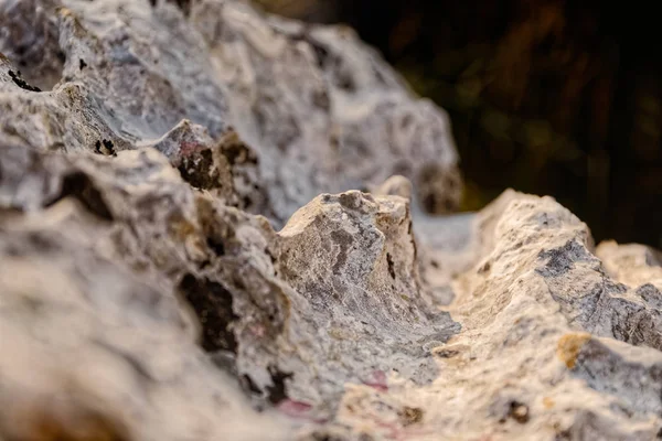 Gray mediterranean stone in nature edge detail — Stock Photo, Image