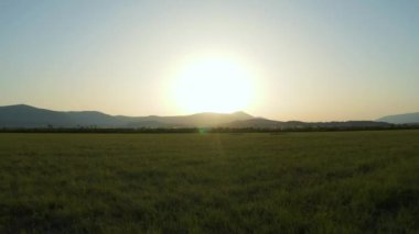 Kırsal, Hırvatistan'da Sinj yakınlarındaki alanların Drone görünümü