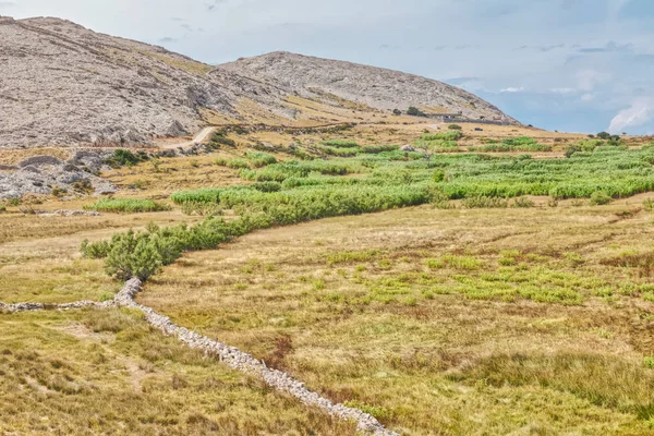 Island Pag landscape, Croatia — Stock Photo, Image