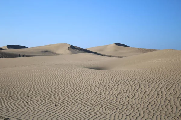 Dunes Maspalomas Egy Drón — Stock Fotó