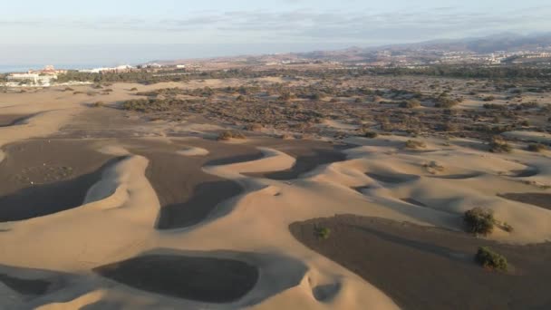 Dunes Maspalomas Egy Drón — Stock videók