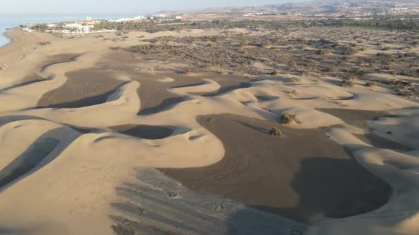 Dunes Maspalomas Egy Drón — Stock videók