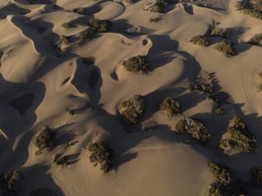 Maspaloma Kumulları 'nın doğal rezervinin havadan görünüşü