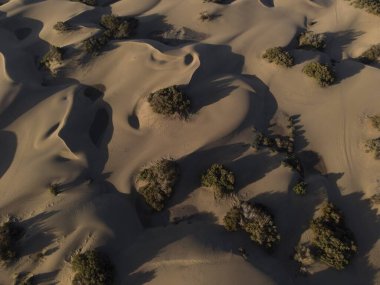 Maspaloma Kumulları 'nın doğal rezervinin havadan görünüşü