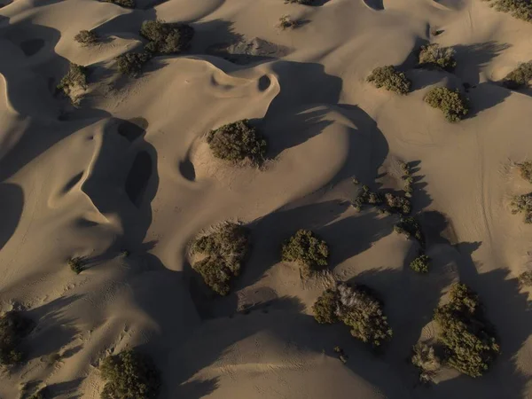 Vista Aérea Maspalomas Dunes Reserva Natural — Fotografia de Stock