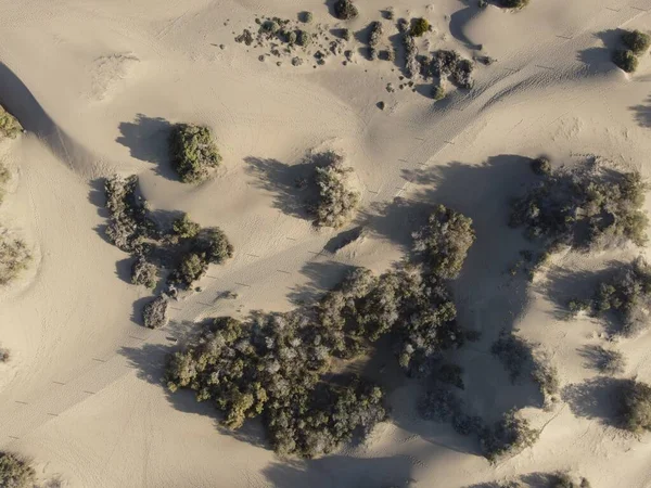 Vista Aérea Maspalomas Dunes Reserva Natural Imagens De Bancos De Imagens Sem Royalties