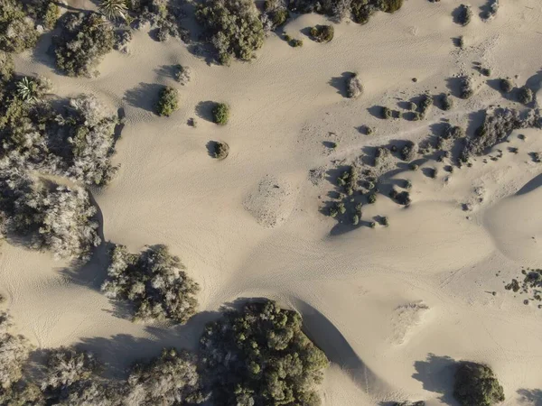 Vista Aérea Maspalomas Dunes Reserva Natural Imagens De Bancos De Imagens