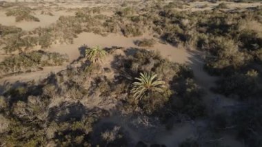 Maspaloma Kumulları 'nın doğal rezervinin havadan görünüşü