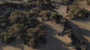 Maspaloma Kumulları 'nın doğal rezervinin havadan görünüşü