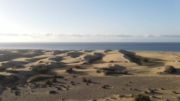 Légi Kilátás Maspalomas Dunes Természeti Rezervátum — Stock videók