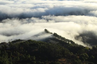 Sabahları bulutlar denizi manzarası