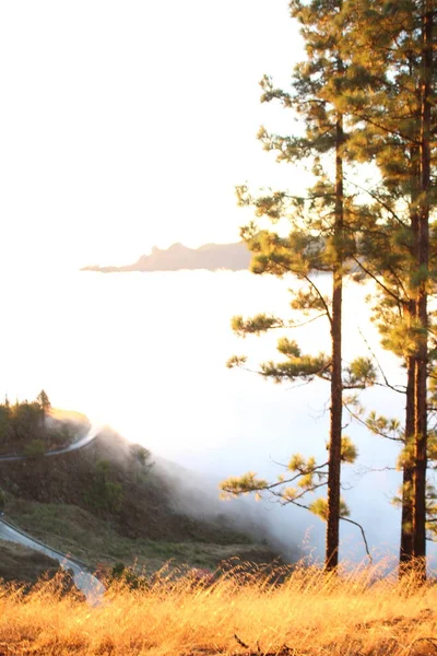 Sabahları bulutlar denizi manzarası