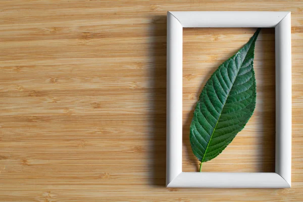 Wooden background with white picture frame with cherry leaf.