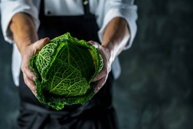 Gıda arka plan kopya alanı ile