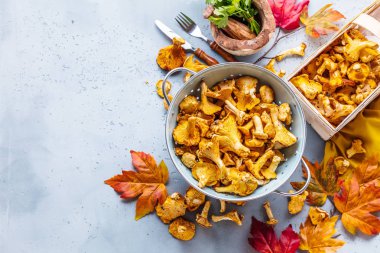 Mantar ile sağlıklı gıda arka plan 