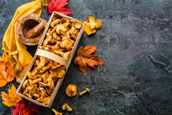 Gesunde Ernährung Hintergrund Mit Pilzen — Stockfoto