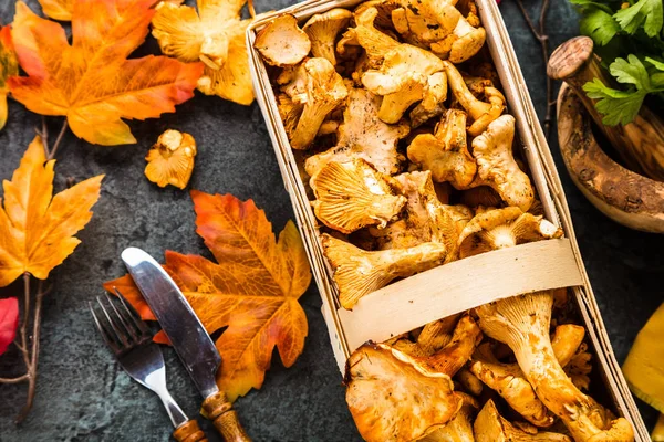 Fond Alimentaire Sain Avec Des Champignons — Photo