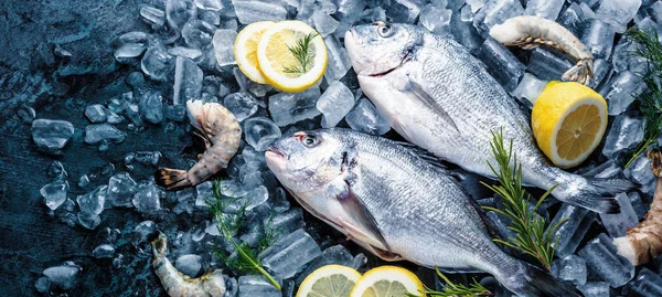 Dorada Real Fresca Sobre Fondo Negro Con Hielo —  Fotos de Stock