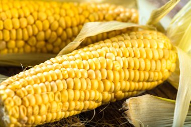 Lezzetli ızgara Mısır yakın çekim