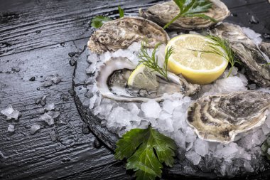 limon ve taze çiğ istiridye