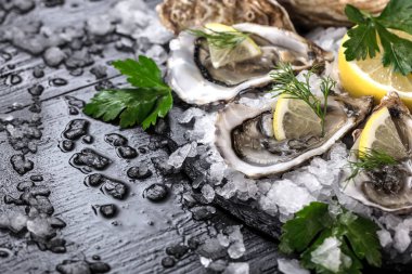 limon ve taze çiğ istiridye