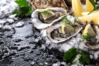 limon ve taze çiğ istiridye