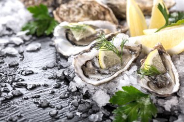 limon ve taze çiğ istiridye