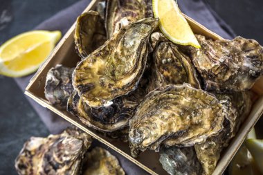 limon ve taze çiğ istiridye