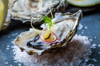 limon ve taze çiğ istiridye