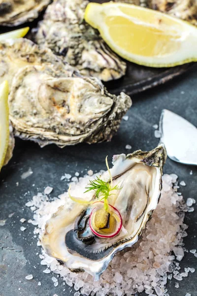 limon ve taze çiğ istiridye