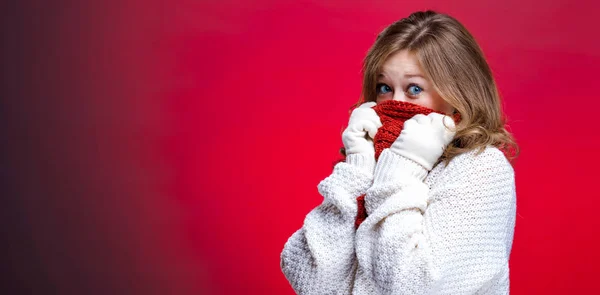 christmas smiling woman in sweater and