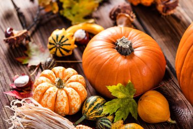 Koyu ahşap arka plan üzerinde halloween kabaklar