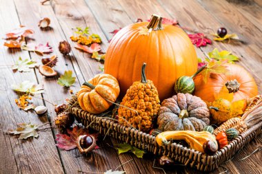 Koyu ahşap arka plan üzerinde halloween kabaklar